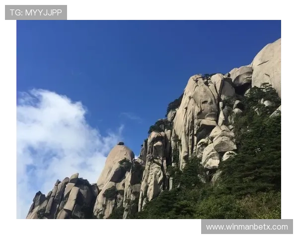 万博manbetx平台登录流程详解及操作步骤指南
