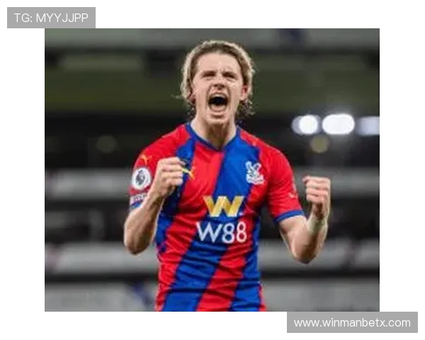 ManBetX万博英超水晶宫赛前分析与预测帮助玩家提升胜率的实用技巧